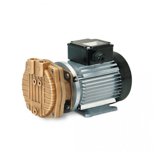 Liquid ring vacuum pumps. L series